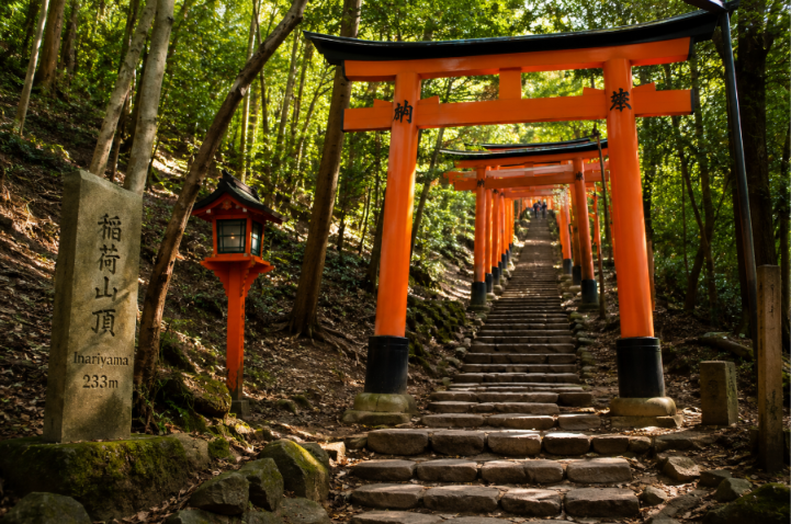 hiking to the top of mount inari