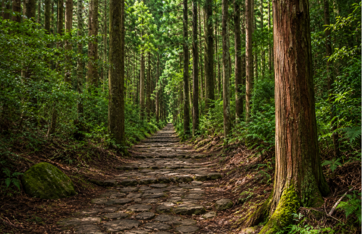 nakahechi route