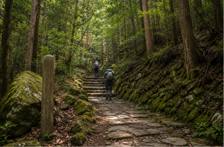 nakahechi route