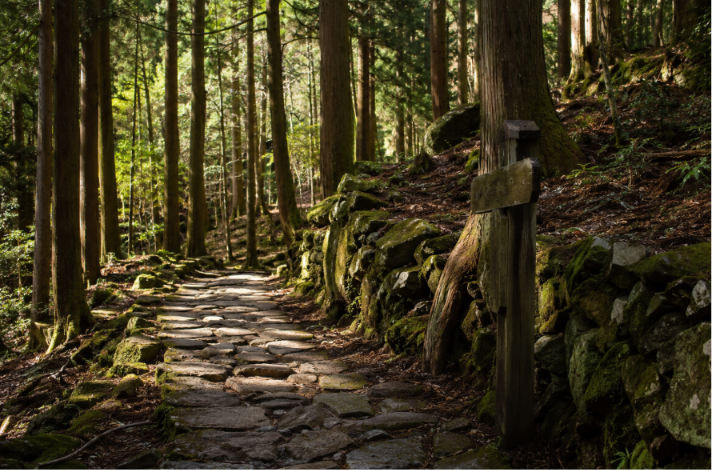 nakasendo trail