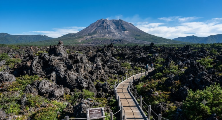 Lava Rock Park Experience 
