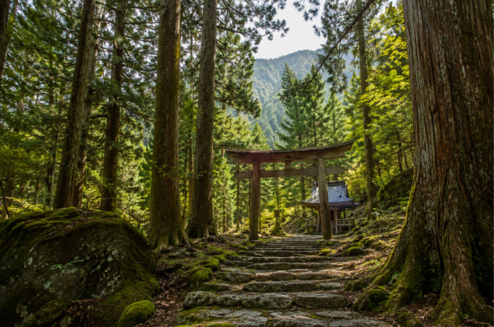kumano kodo trail
