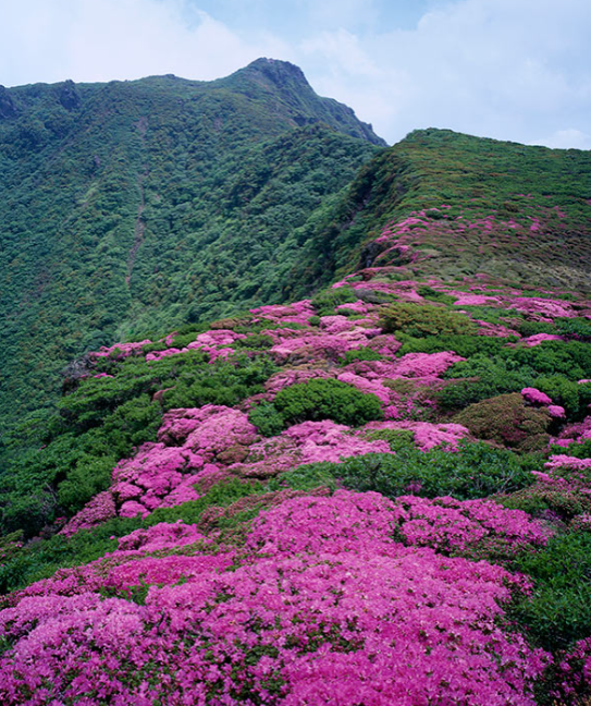 Kuju Mountains