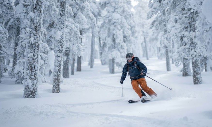 Peaceful skiing among snowy forests