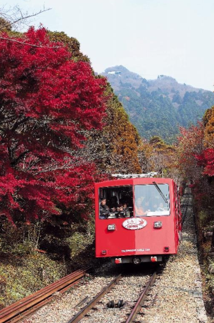 Mount Tsukuba summit trail and surrounding landscape
