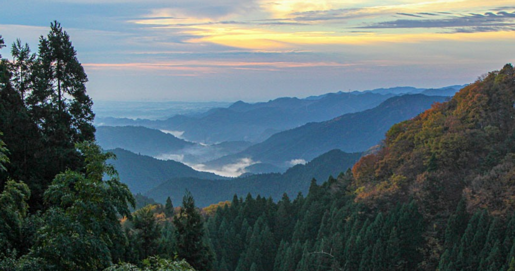 Mount Mitake forest path and mountain scenery