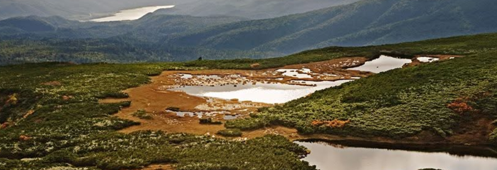 Numanodaira Marsh, a high-altitude wetland with tarns