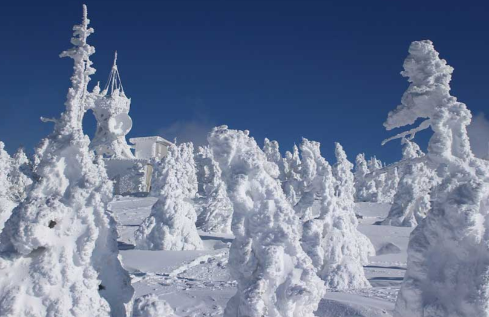Aomori's Snow Corridor