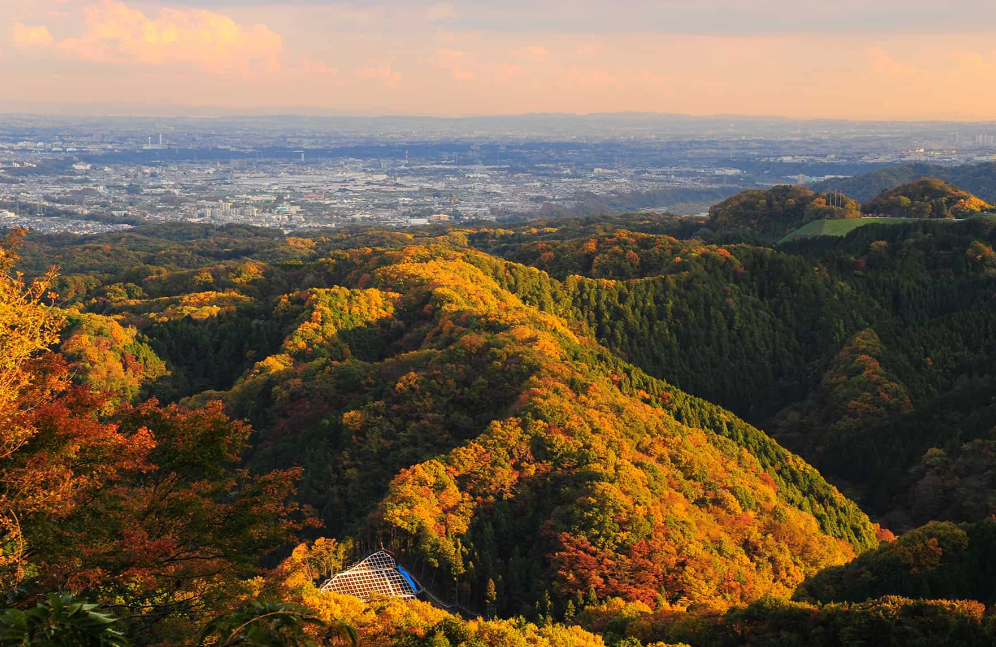 Mount Takao