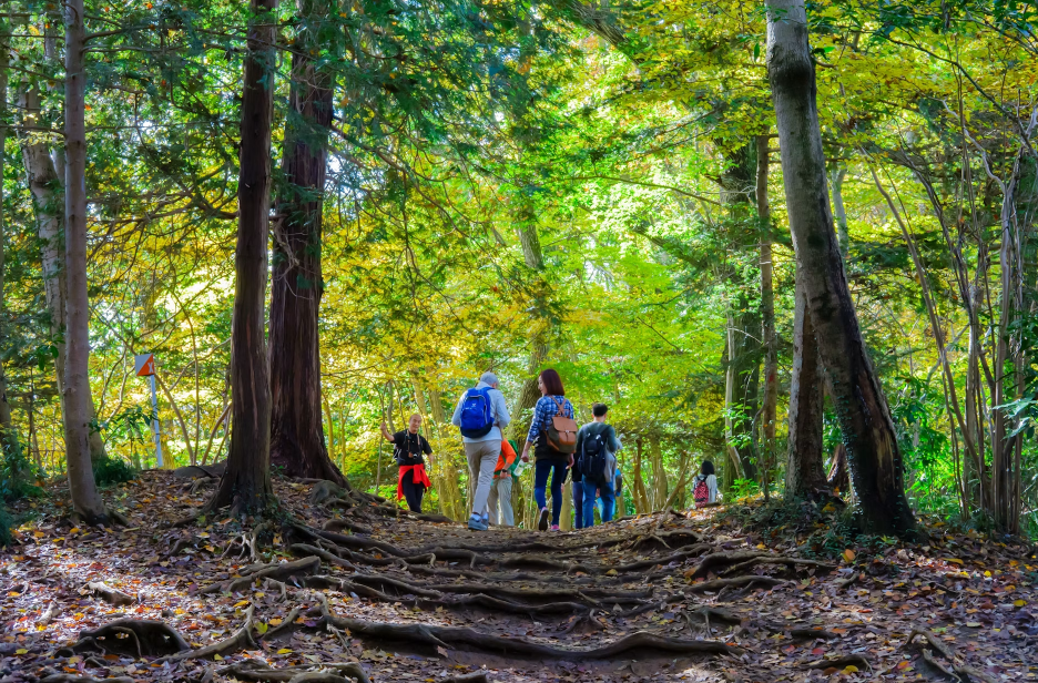Mount Takao