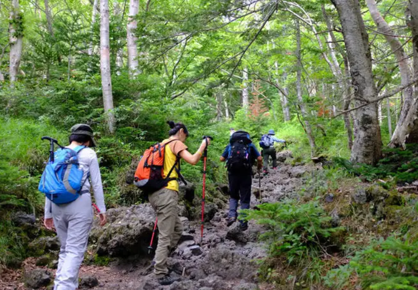 Subashiri Trail starting point