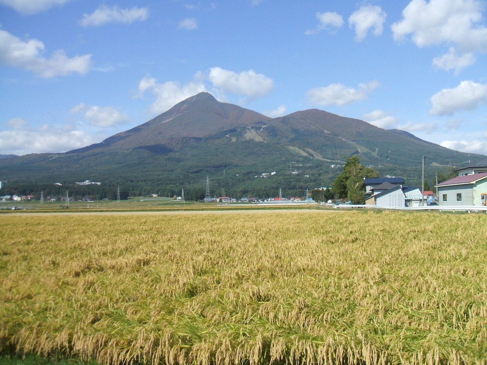 Mount Bandai above golden rice fields in autumn at Inawashiro