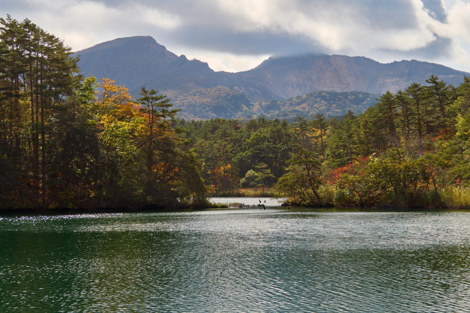 A still pond with autumn foliage at Goshikinuma in Bandai-Asahi National Park