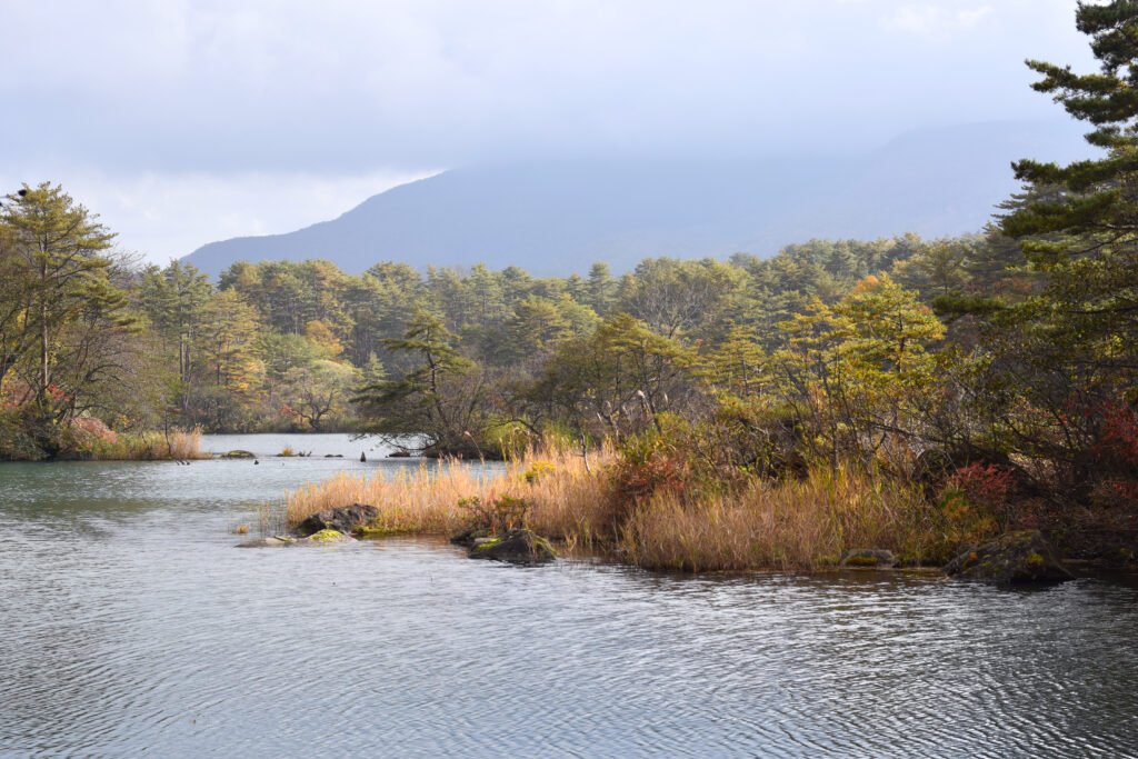 Bishamon Pond at Goshikinuma surrounded by autumn foliage in Urabandai