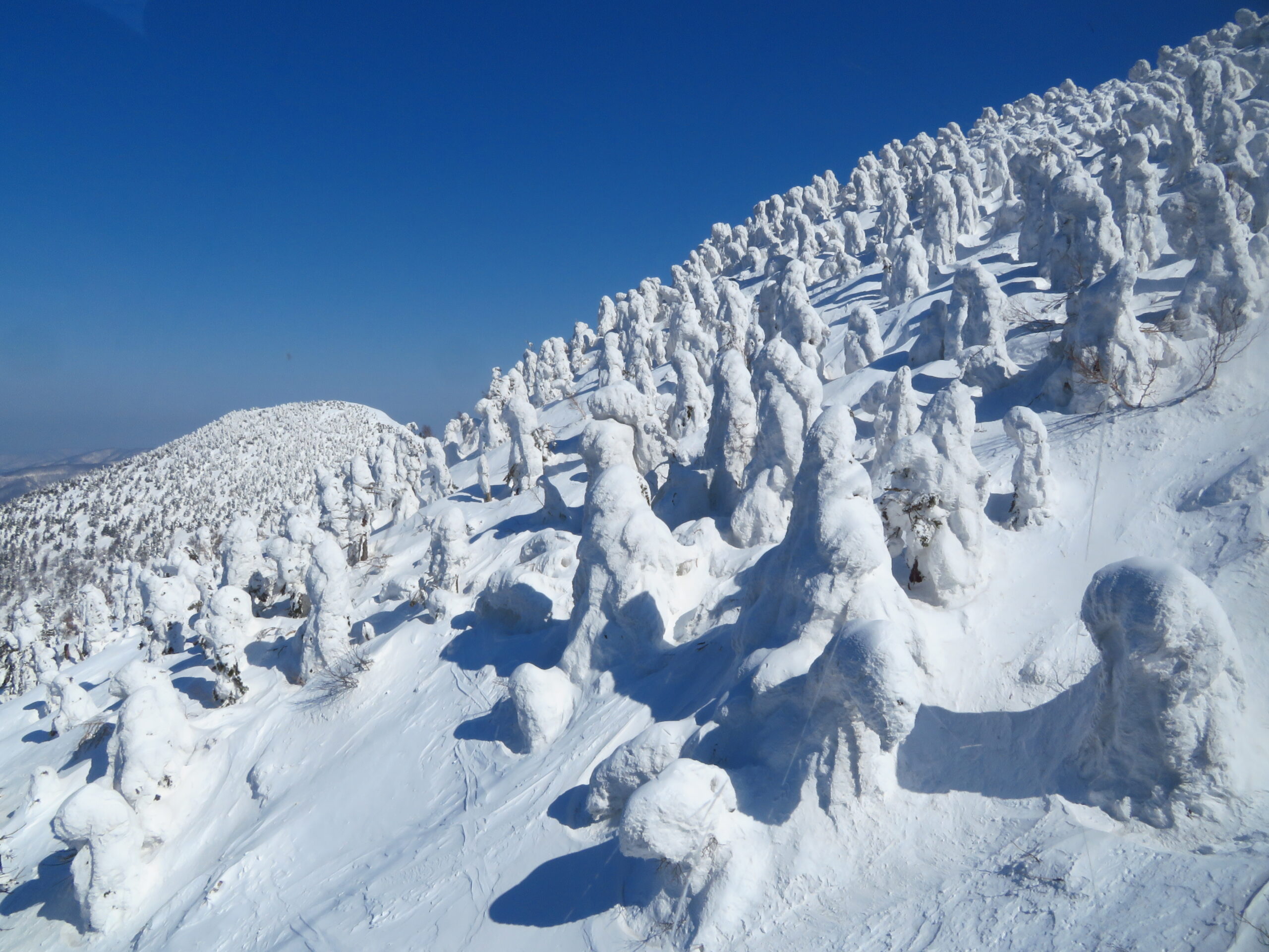 Trees coated in snow and ice, known as juhyo snow monsters, in the Hakkoda Mountains