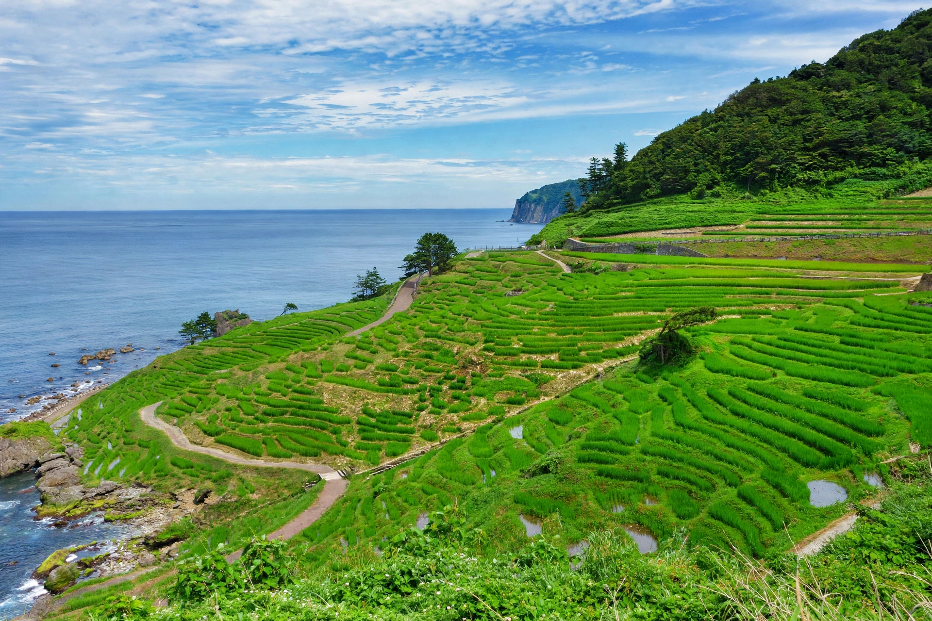 Shiroyone Senmaida rice terraces overlooking the Sea of Japan on the Noto Peninsula in Ishikawa, Japan