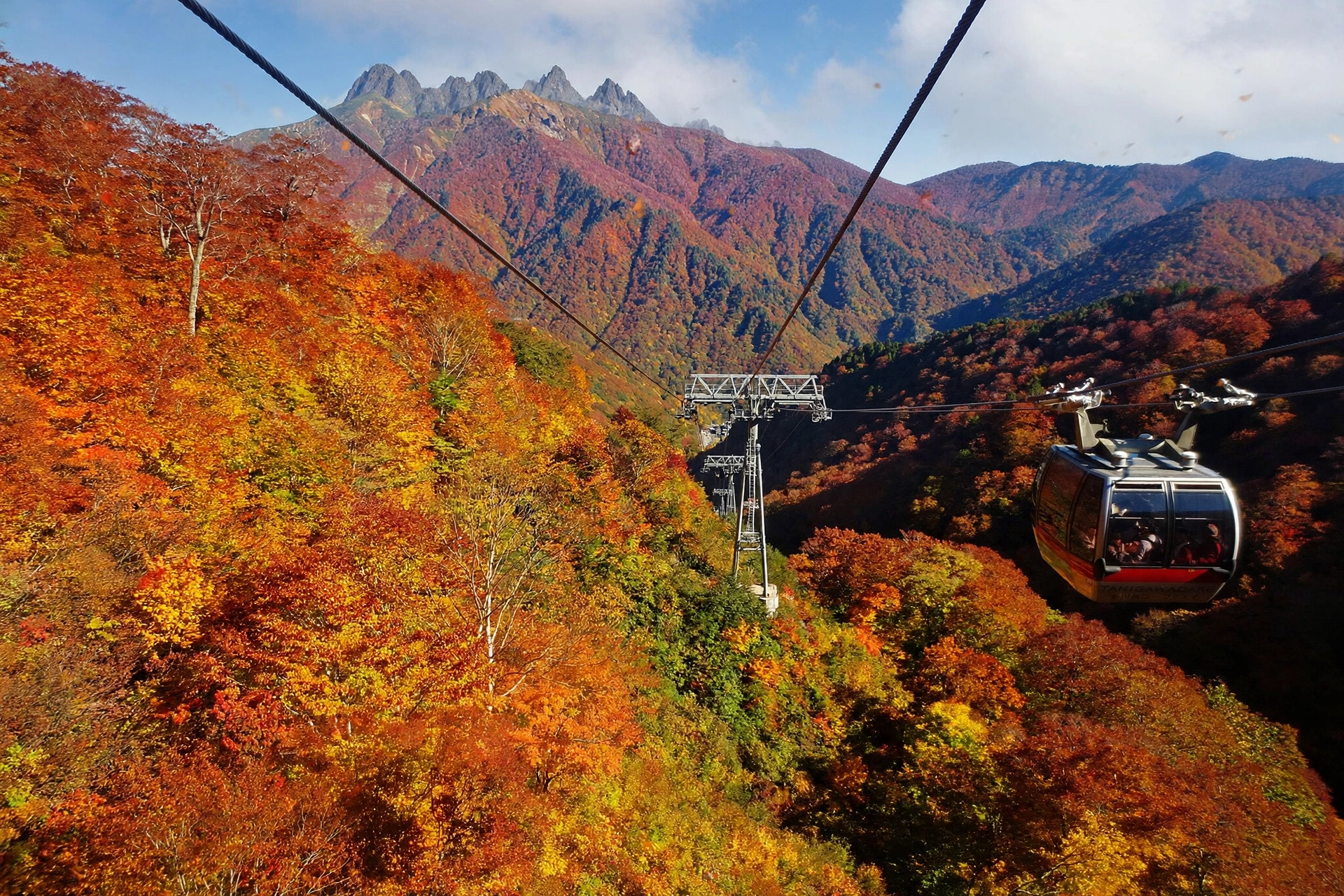 Tanigawadake Ropeway ascending through autumn foliage on Mount Tanigawa, Japan