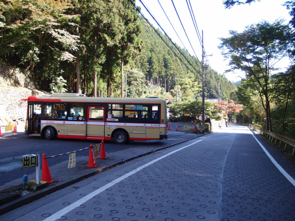 Forest trail on Mount Mitake in Okutama, Tokyo