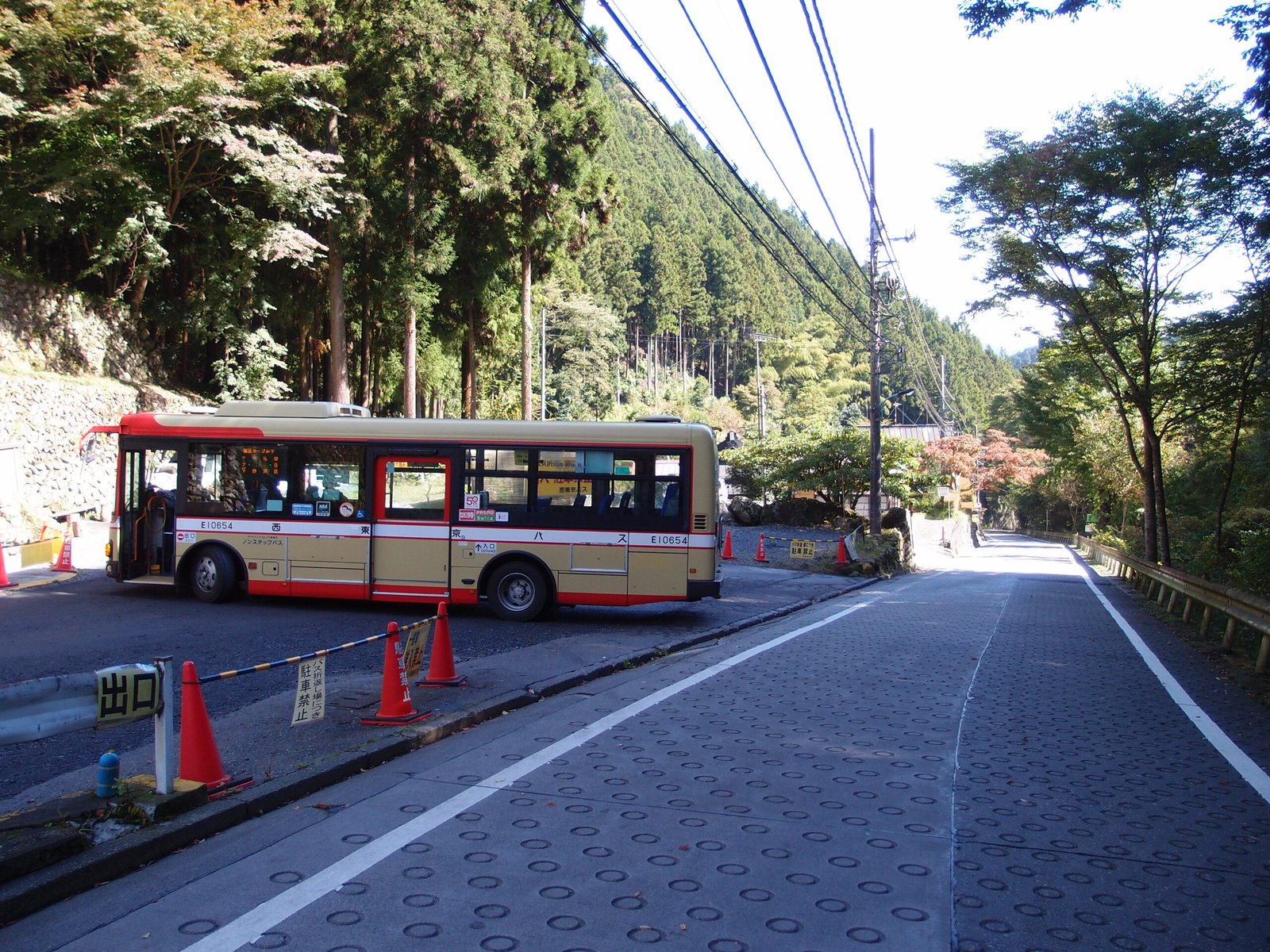 Forest trail on Mount Mitake in Okutama, Tokyo