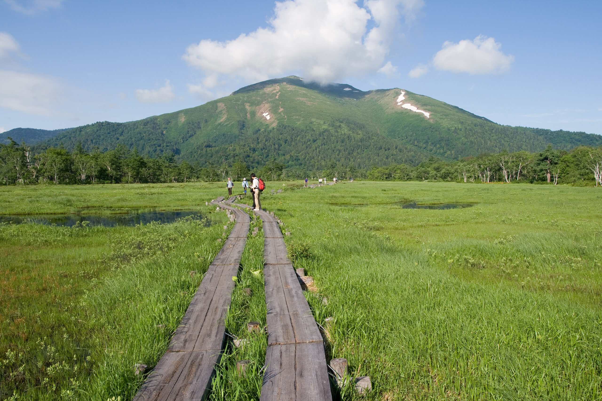 Mount Shibutsu rising above the Ozegahara marsh boardwalk